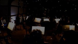 Christmas at Hogwarts (John Williams) | 2nd Accordion Orchestra of the Accordion Club Winsen (Aller