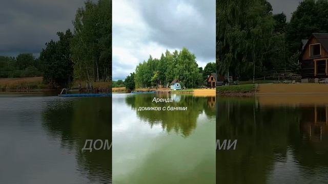 Аренда домиков с банями на берегу лесного озера. Рядом с Москвой в уникальном месте. #снятьдом