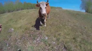 Парень выпрыгнул из самолёта ради любимой.