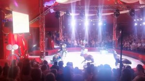 Цирк Никулина.  Шоу Владимира Дерябкина