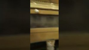 Линия по переработке риса,  красной чечевицы.