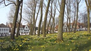 The Beguinage (Begijnhof) in spring