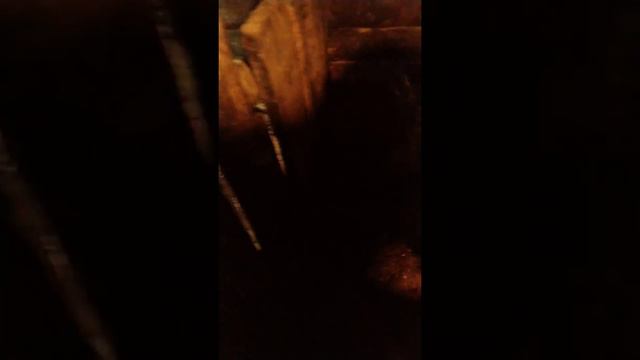 Долгожданный опорос свиноматки смотреть онлайн