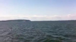 Волжский Утес, Жигулевское море 2014