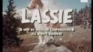 Lassie (Лэсси)