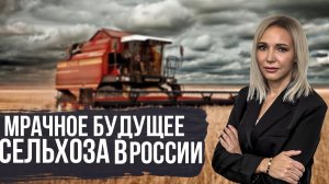 ЧТО ОЖИДАТЬ ОТ РОССИЙСКОГО РЫНКА СЕЛЬХОЗТЕХНИКИ?