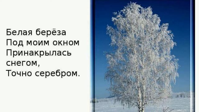 Как выглядит белая береза Страна читающая - Иван Раздъяконов читает произведение "Белая береза" С. А. Есен