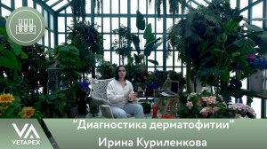 Ирина Куриленкова -  "Диагностика дерматофитии"