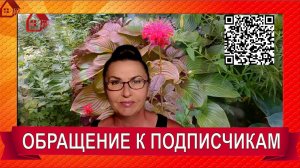 Моим подписчикам - Как не потеряться, если ютуб закроют? Где найти мои рецепты