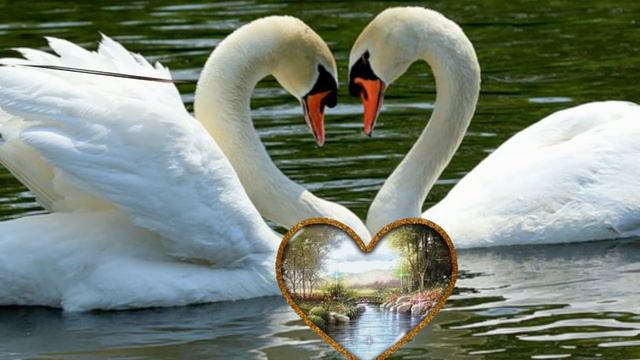 свадьба смотреть онлайн