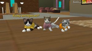 😺 Типы игроков в Cat Sim 0.4 || Cat Sim