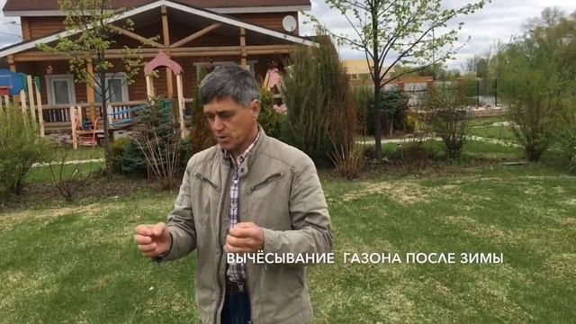 Вычесывание газона после зимы смотреть онлайн