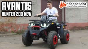 Квадроцикл Avantis Hunter 200 New - купить в магазине KvadroBaza