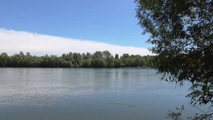 Футаж релакс Река Чаус  Июнь Лето 2020  017