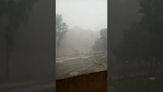 Тропический ливень в Щелково 20.06.2020 смотреть онлайн