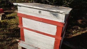 Улей утепленный мхом.