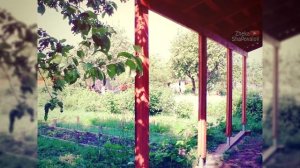 Беседка-летняя кухня-навес к дому под виноград - дешево и сердито