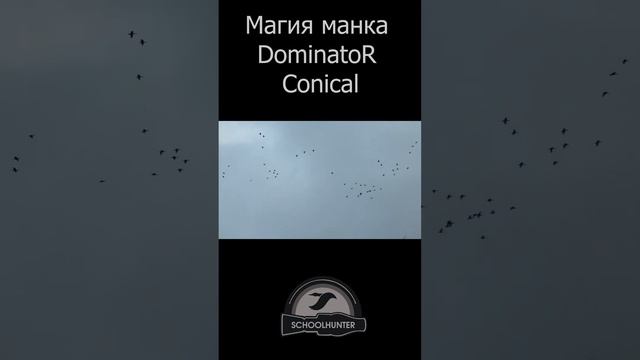 Магия манка DominatoR Conical на охоте, налет гусей  #shorts