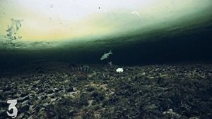 РЫБАЛКА НА 5 ПОДВОДНЫХ КАМЕР! Зимняя рыбалка на Жерлицы! Щука, Окунь. Подводная съемка