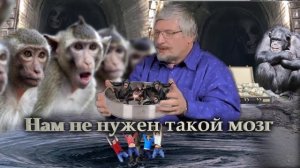 С. Савельев. Нам не нужен такой мозг.mp4