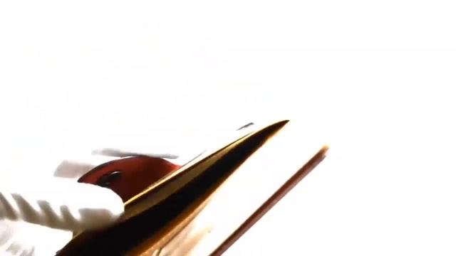 Мужское портмоне Bailini Long ручной работы 2 смотреть онлайн