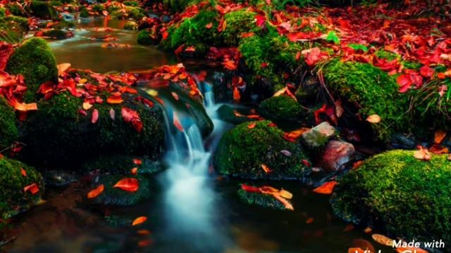 СПОКОЙНАЯ МУЗЫКА (ПИАНИНО) МУЗЫКА УЧЁБА, И ДЛЯ СНА смотреть онлайн