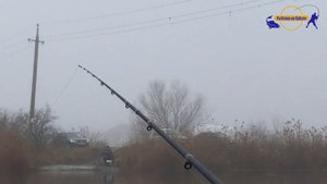 Зашла ли тарань? РЫБАЛКА хутор САДКИ.  зима 2021 /// Рыбалка на кубани 2021 /// Выпуск № 20