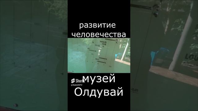 музей Олдувай - развитие человечества