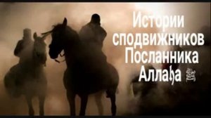 История Сподвижников Посланника Аллаха. (Заид Аль Хайр)
