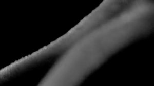 Pioneer BDP-LX71 Lecteur Blu-ray