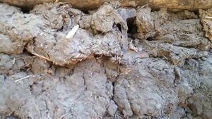 Ремонт саманного дома своими руками Часть 4