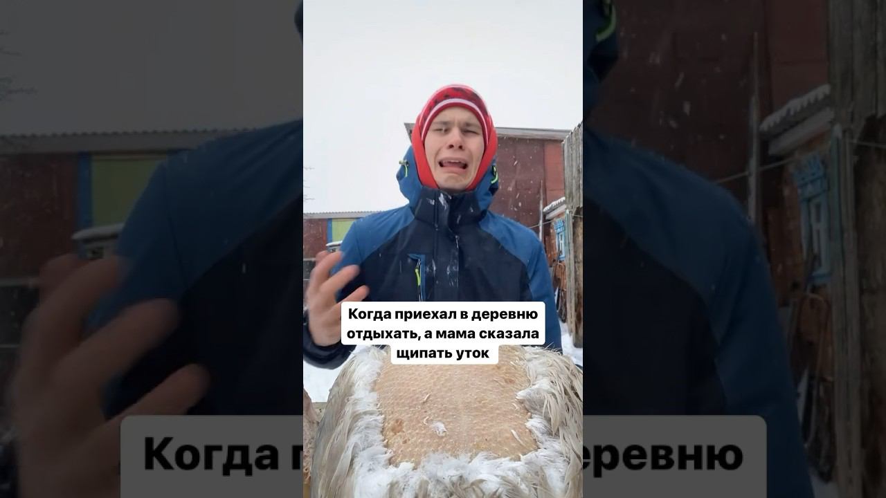 Отдыхаем в выходные правильно смотреть онлайн