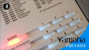 Yamaha PSR E403 / Yamaha PSR-E403 Portable Keyboard /