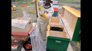 Заселение в улей лежак на 48 рамок