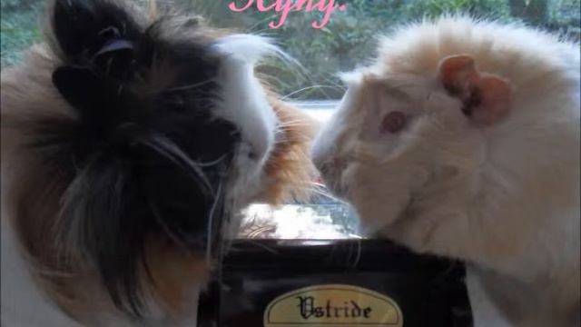 Takie se Morumotto смотреть онлайн