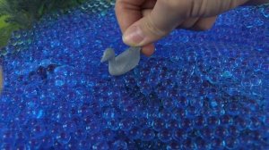 Игры Ам Няма - Ам Ням кормит рыбку и уточку.