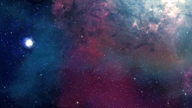 Саша Прохорова - Почему мы видим сны? / Университет Детей