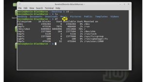 Список команд в терминале Linux | Основные команды | Linux | Обзор