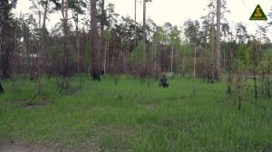 Камуфляж "БЕРЕЗКА"- маскировка ВЕСНОЙ.Маскхалат обзор, Лучший маскхалат снайпера. Camouflage.