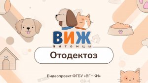 «ВИЖ Питомцы» - Отодектоз