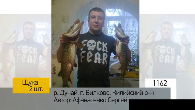 Фотоальбом - Рыбалка №232 смотреть онлайн