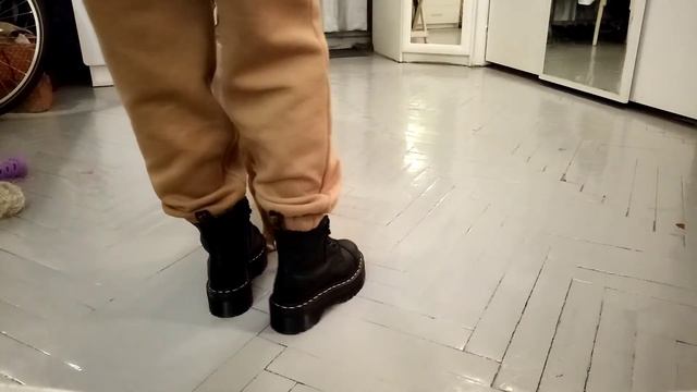 Минибуль Дан (3 месяца). Начало обучения 5.