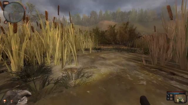 У Меня Появился Друг - STALKER Путешествие #4 смотреть онлайн