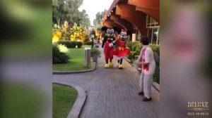 בובות מיקי ומיני מאוס בדרך לאירוע שלכם | Ростовые куклы Микки и Минни Маус спешат к вам на праздник