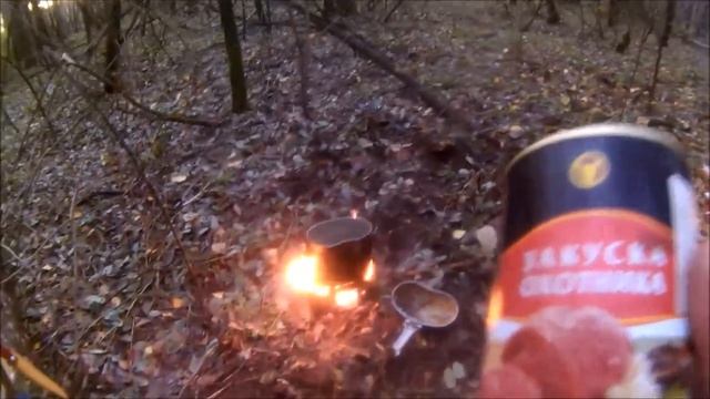 Одиночный поход в лес в ноябре ( сырно -- гороховый суп, и др )Мозырь,Беларусь. смотреть онлайн