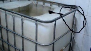 Проект полносистемного выращивания клариевого сома в подвальном помещении многоквартирного дома