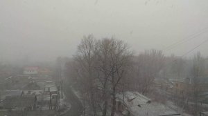 Мартовская метель.Донецк