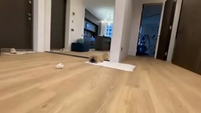 Первый день Луны в квартире 03.06.2021г. смотреть онлайн