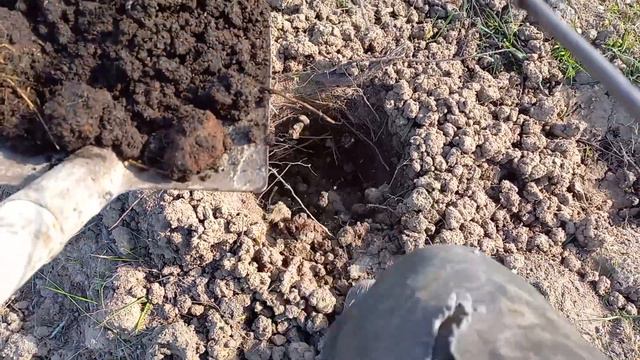 Закладка сада 280 деревьев. День 4, смотреть онлайн