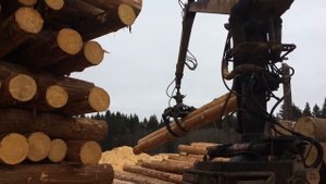 Работа манипулятора СФ 65